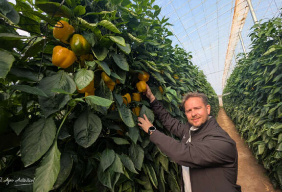HM.Clause saca su vitrina de pimientos rojos y amarillos a la calle