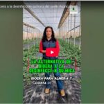 La alternativa de Bioera a la desinfección química del suelo