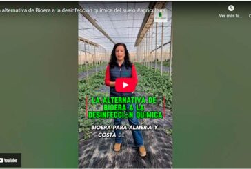 La alternativa de Bioera a la desinfección química del suelo