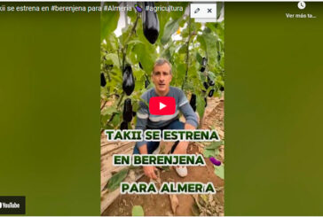 Takii se estrena en berenjena para Almería