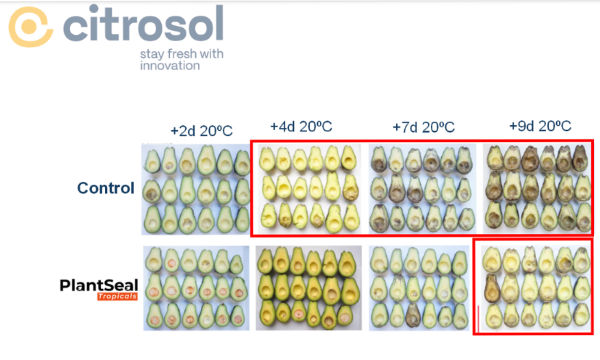 recubrimiento PlantSeal® Tropicals / agroautentico.com