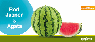 SIDE BAR 1 SYNGENTA SANDÍA 2025