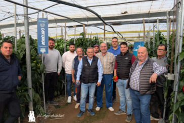 CapGen se estrena en temprano y a lo grande con el pimiento Cancerbero