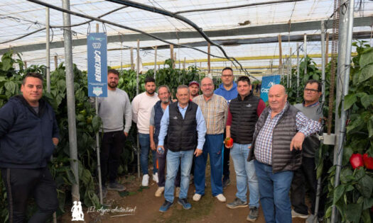 Agricultores en las jornadas de pimiento Cancerbero en Berja / agroautentico.com