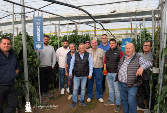 CapGen se estrena en temprano y a lo grande con el pimiento Cancerbero