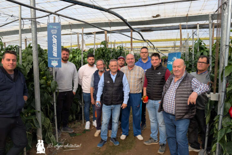 CapGen se estrena en temprano y a lo grande con el pimiento Cancerbero