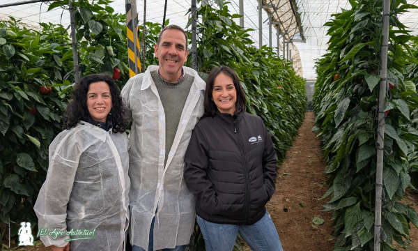 Bioera, SUAMU y Vilmorin Mikado en una de las fincas de la vitrina / agroautentico.com