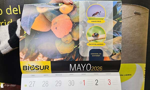 Calendario Biosur 2026 mayo para control de Cotonet / agroautentico.com 