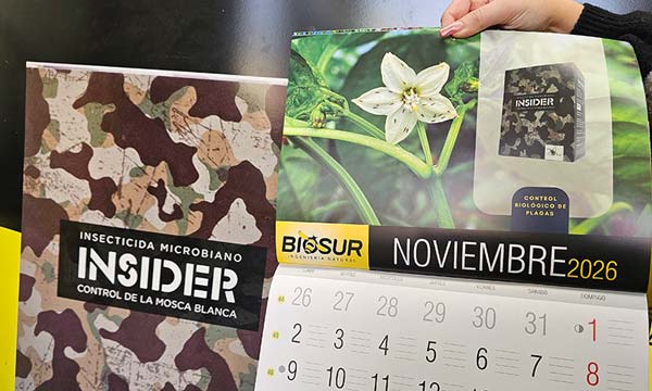 Insider / agroautentico.com