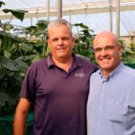 Cómo las mallas Balance Max permiten a un agricultor mantener el pepino en verano con menos plagas y mejor ventilación