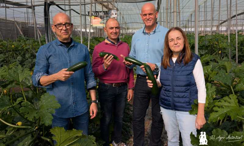 Delegados de Syngenta con técnicos de Costa de Almería / agroautentico.com