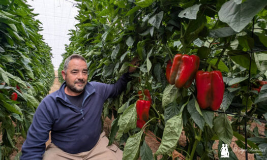 Ernesto Herrera con los lamuyos de Rijk Zwaan / agroautentico.com