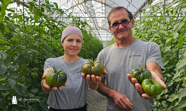 Tomates La Palma. Fernando y Silvia con Adora / agroautentico.com