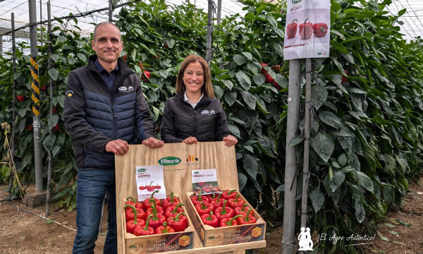 Fran Rodríguez e Isabel Rodríguez con Nazgul y Numenor / agroautentico.com