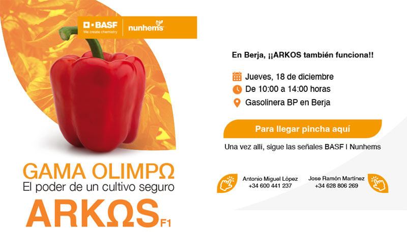 Día 18 de diciembre. Jornada de pimiento Arkos de Nunhems