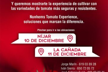 Días 10 y 11 de diciembre. Nunhems Tomato Experience