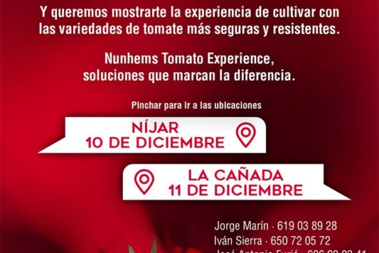 Días 10 y 11 de diciembre. Nunhems Tomato Experience