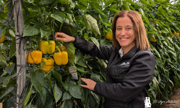 Isabel Rodríguez con el pimiento Turing de Vilmorin Mikado / agroautentico.com