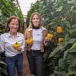 Isabel Rodríguez y Franca Reyes, miembros del equipo de desarrollo de pimiento / agroautentico.com