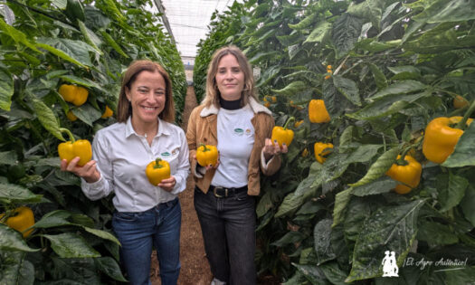 Isabel Rodríguez y Franca Reyes, miembros del equipo de desarrollo de pimiento / agroautentico.com
