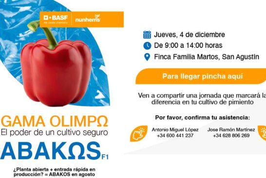 Día 4 de diciembre. Jornada de pimiento Abakos de Nunhems