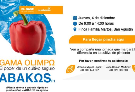 Día 4 de diciembre. Jornada de pimiento Abakos de Nunhems