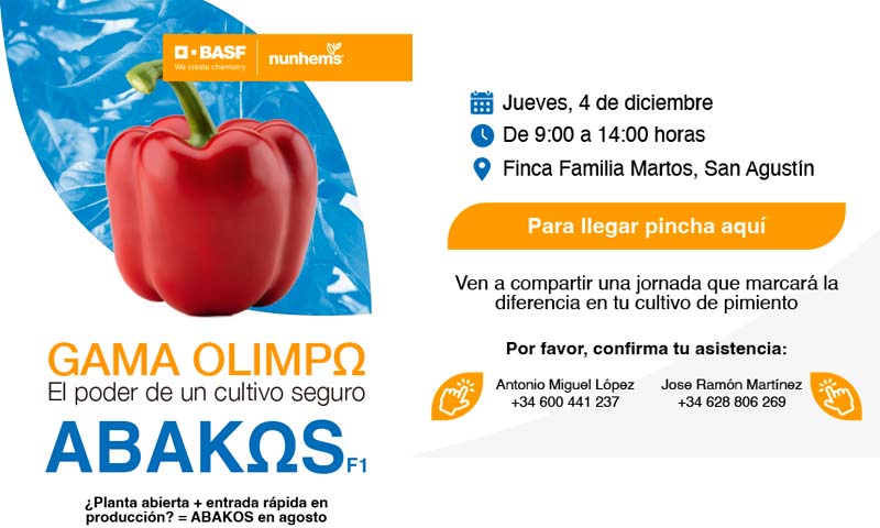 Día 4 de diciembre. Jornada de pimiento Abakos de Nunhems