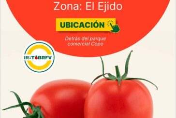 Día 11 de diciembre. Jornada de tomate Centinella de HM.Clause