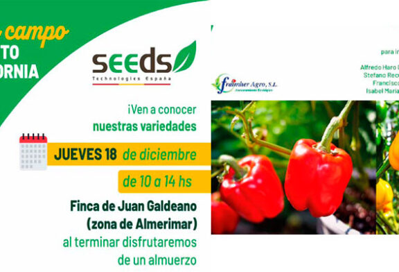 Día 18 de diciembre. Jornada de pimiento de Seeds Technologies