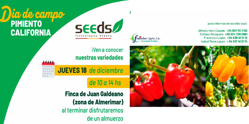 Día 18 de diciembre. Jornada de pimiento de Seeds Technologies