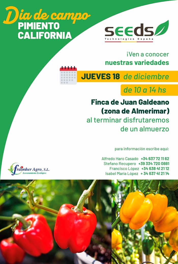 Día 18 de diciembre. Jornada de pimiento de Seeds Technologies