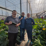 Jornadas de calabacín de Syngenta en El Ejido / agroautentico.com