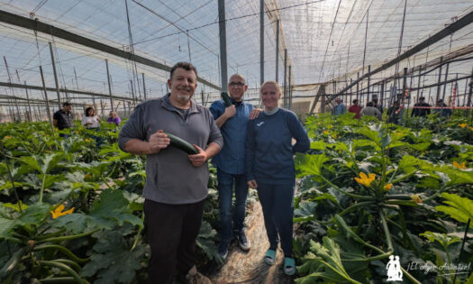 Jornadas de calabacín de Syngenta en El Ejido / agroautentico.com