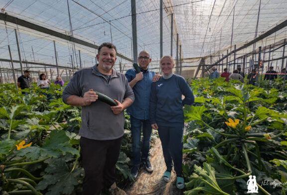 Syngenta obtiene un nuevo calabacín tipo Delfos, pero de frutos más oscuros