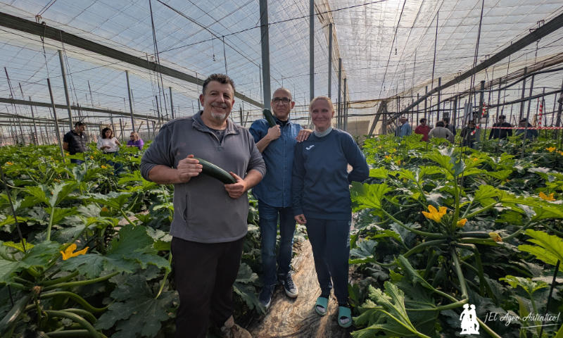 Syngenta obtiene un nuevo calabacín tipo Delfos, pero de frutos más oscuros