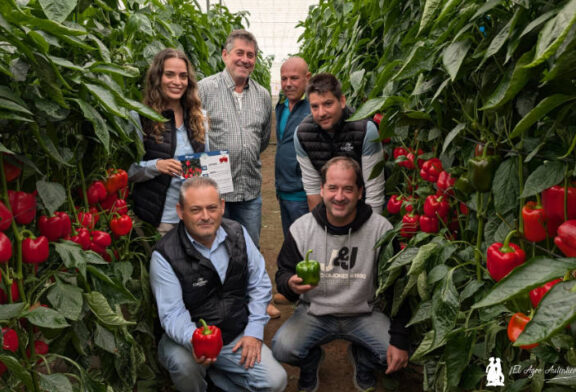 Los Guardianes del Pimiento II Parte: variedad Arquero