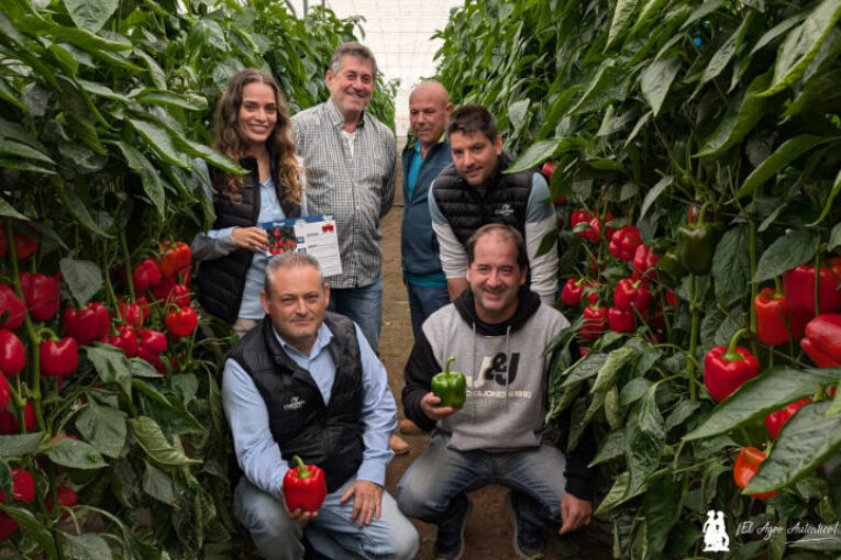 Los Guardianes del Pimiento II Parte: variedad Arquero