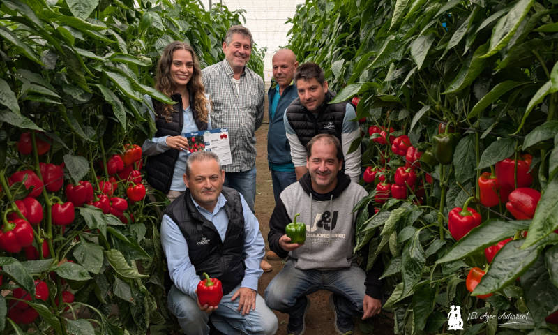 Agricultores en las jornadas de pimiento Arquero de CapGen Seeds en El Ejido / agroautentico.com