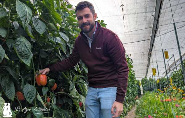 José Carlos Cara, agricultor con el banker de Entonova / agroautentico.com