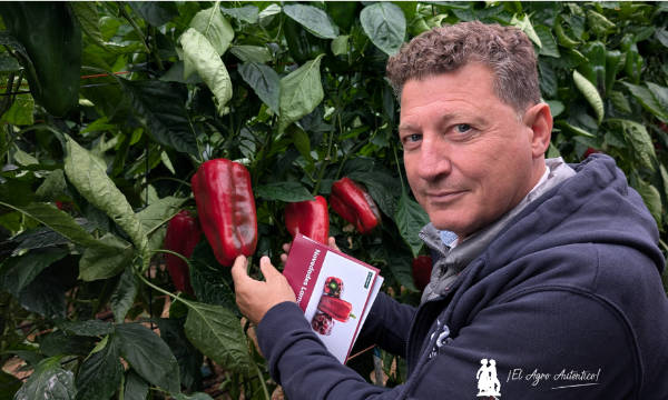 José Luis Ruipérez, especialista de pimiento en Rijk Zwaan / agroautentico.com