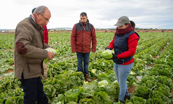 Las demos más mini con las resistencias más grandes de Basf Nunhems