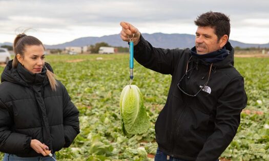 Las demos más mini con las resistencias más grandes de Basf Nunhems 3
