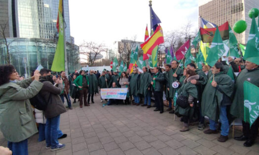 Las protestas en Bruselas frenan el acuerdo del Mercosur / agroautentico.com