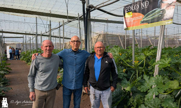 Luis Martínez con los hermanos Mecías, productores de calabacín / agroautentico.com