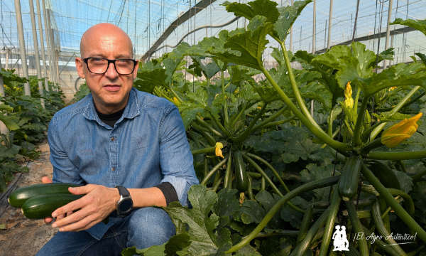 Luis Martínez, especialista de calabacín de Syngenta / agroautentico.com