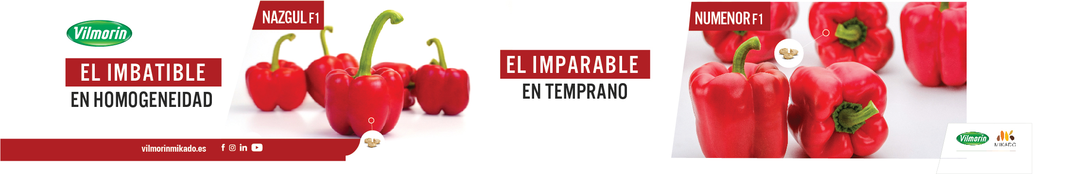 TOP BANNER VILMORIN DICIEMBRE 2025