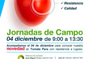 Día 4 de diciembre. Jornada de tomate pera de Seminis