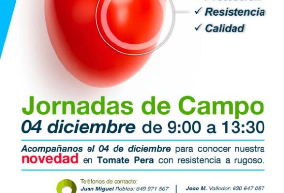 Día 4 de diciembre. Jornada de tomate pera de Seminis