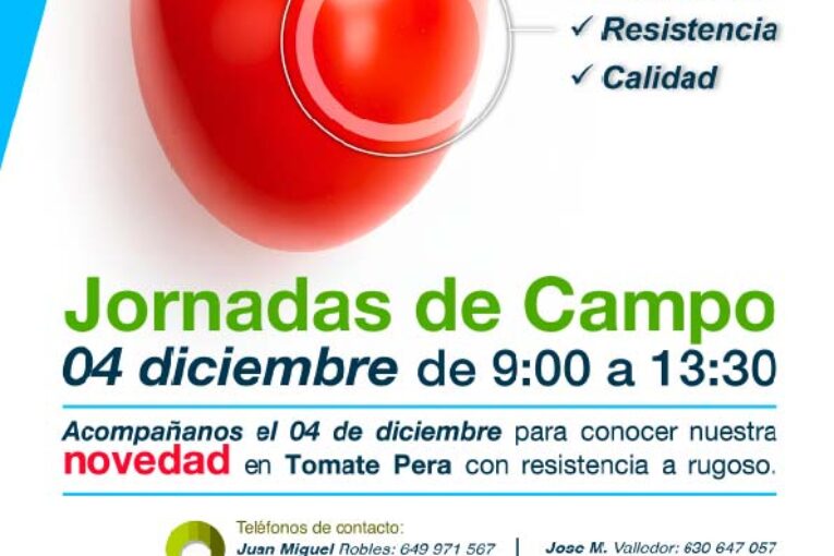 Día 4 de diciembre. Jornada de tomate pera de Seminis