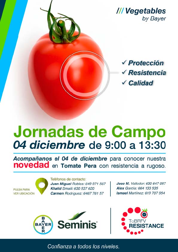 Día 4 de diciembre. Jornada de tomate pera de Seminis